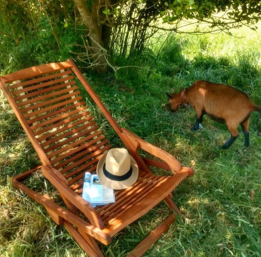 Casa Rural Lineiros 무히아 외부 사진